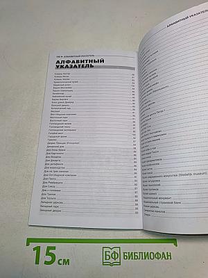 Амстердам