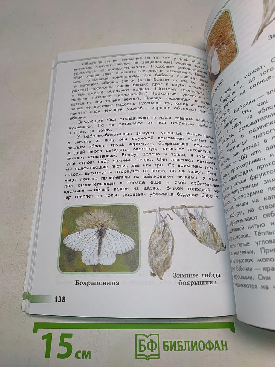 Зелёные страницы. Книга для учащихся начальных классов