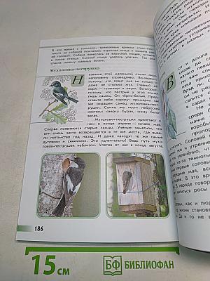 Зелёные страницы. Книга для учащихся начальных классов