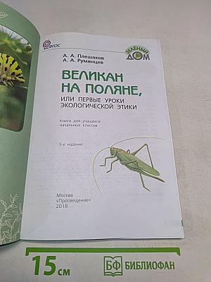 Великан на поляне, или первые уроки экологической этики. Книга для учащихся начальных классов. 5-е издание