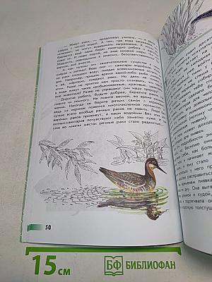 Великан на поляне, или первые уроки экологической этики. Книга для учащихся начальных классов. 5-е издание