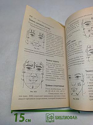 Азбука восточной медицины. Лицевая рефлексотерапия. 60 точек здоровья и красоты. Вьетнамский метод дьен чам
