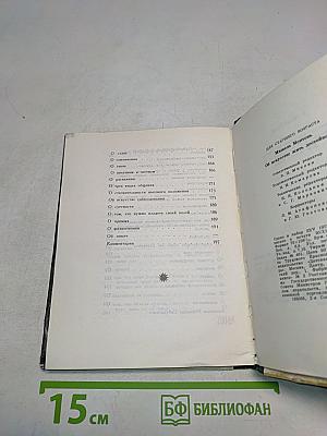 Об искусстве жить достойно. Философские очерки