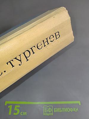 Стихотворения в прозе. Записки охотника. Из критического наследия