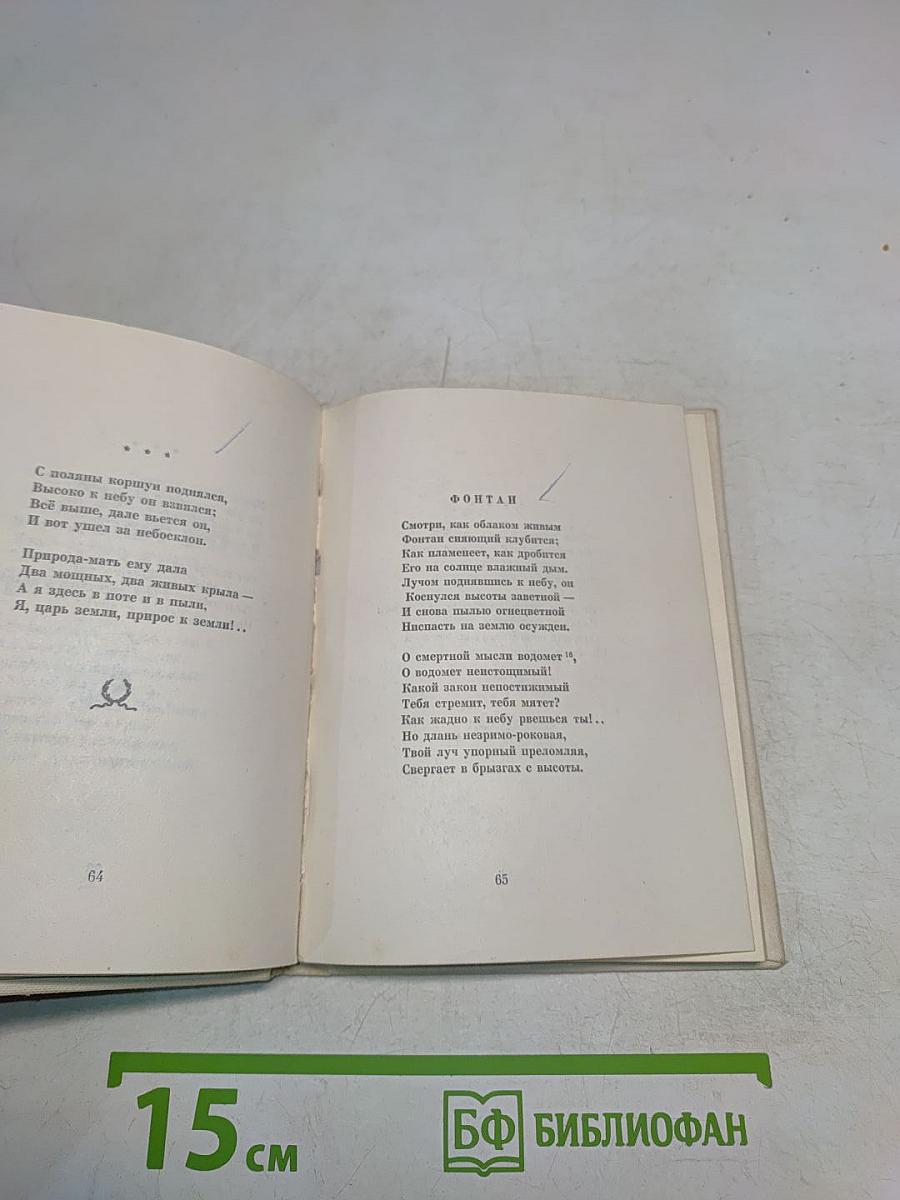 Весенние воды