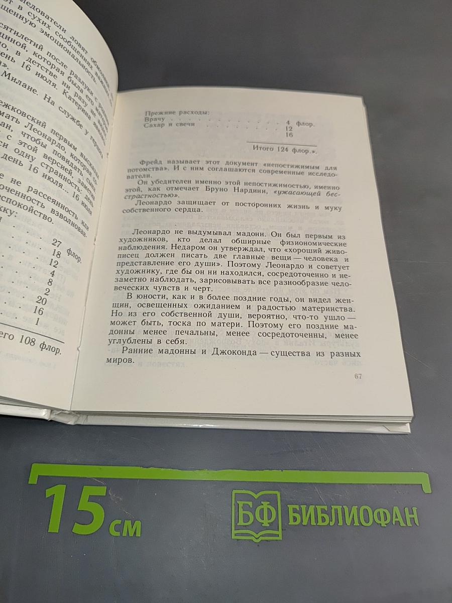 Мир Леонардо. Книга 1