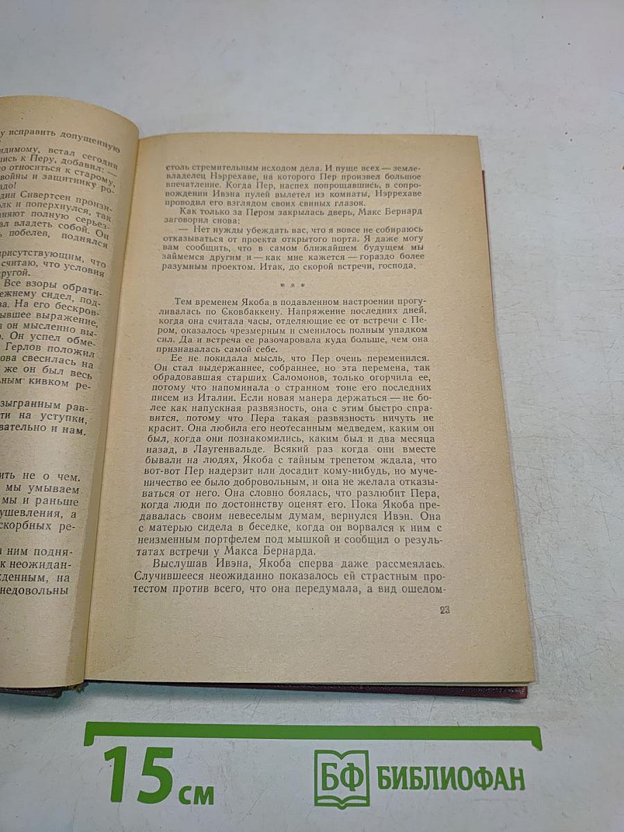 СчастлиВчик Пер. Книга вторая