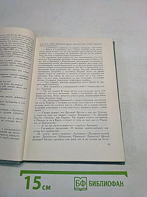 Товарищи по оружию