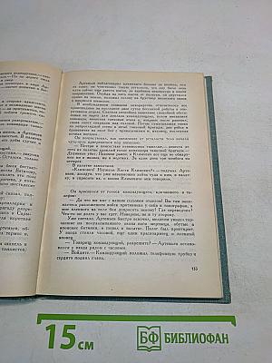 Товарищи по оружию