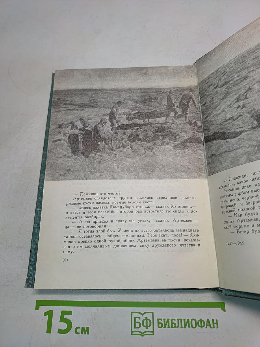 Товарищи по оружию