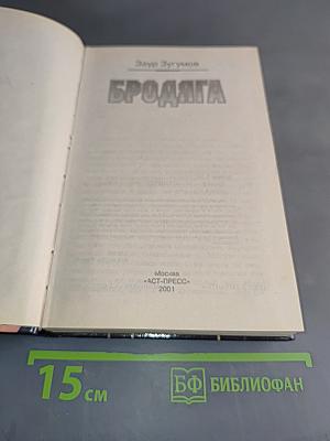 Бродяга