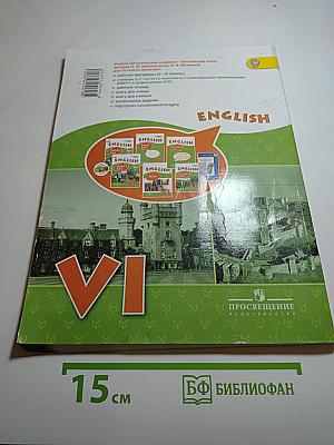 Английский язык. VI класс. Student's Book. Часть 1