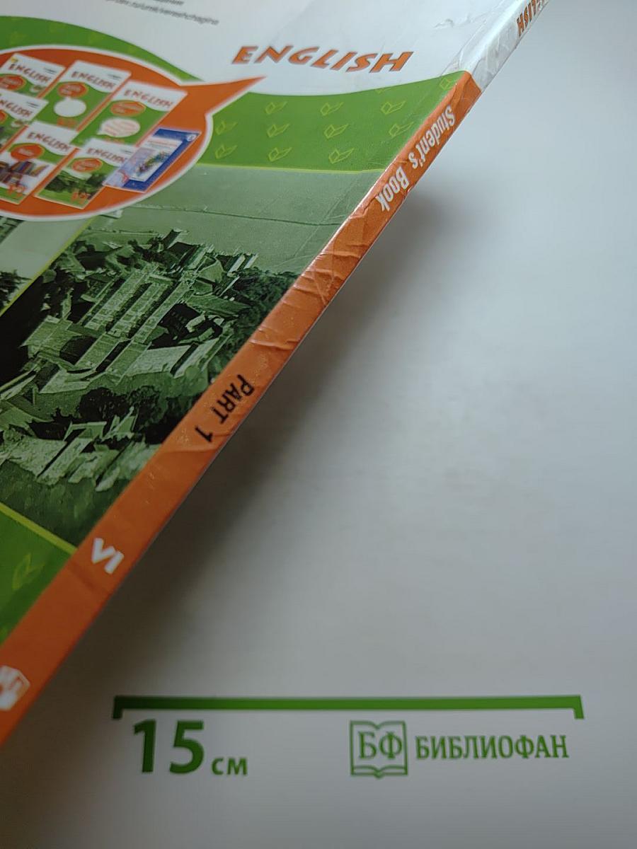 Английский язык. VI класс. Student's Book. Часть 1