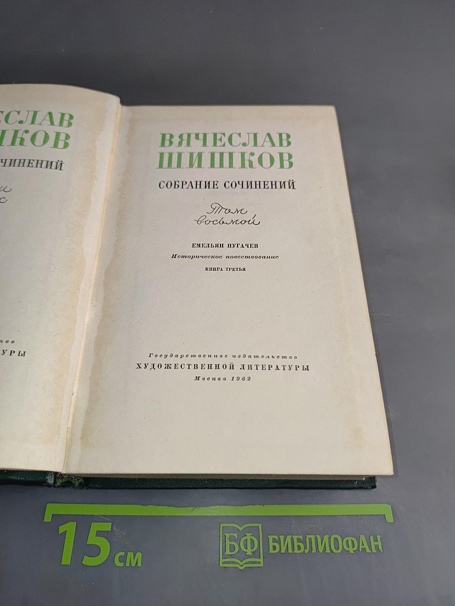 Собрание сочинений. Том восьмой. Емельян Пугачев. Историческое повествование. Книга третья