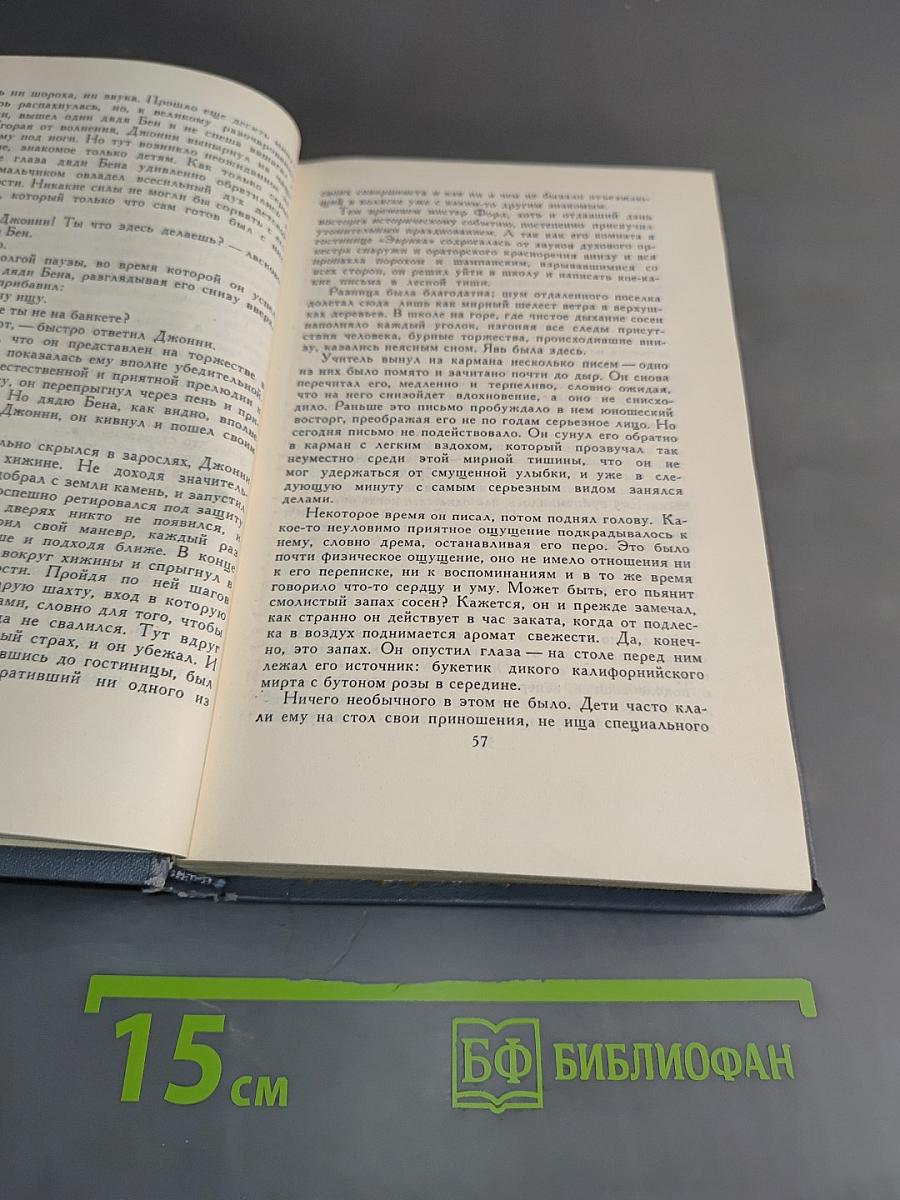 Брэт Гарт. Собрание сочинений в шести томах. Том 4