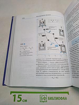 Физика 10 класс