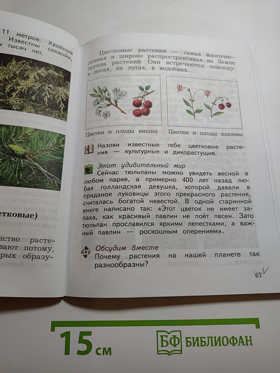 Окружающий мир. 3 класс. Часть первая