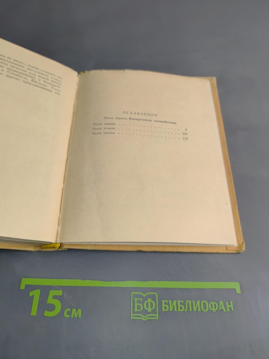 Повесть о Ходже Насреддине. В двух книгах. Книга первая