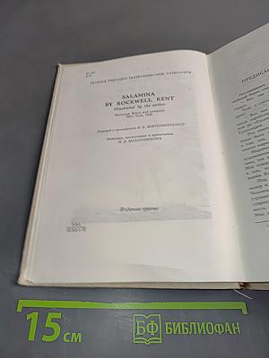 Саламина