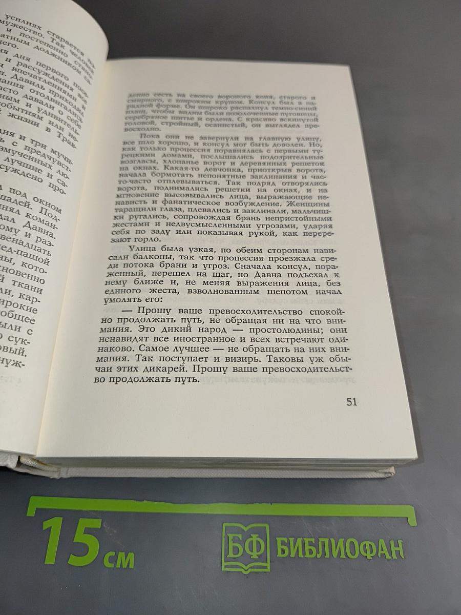 Травницкая хроника. Консульские времена