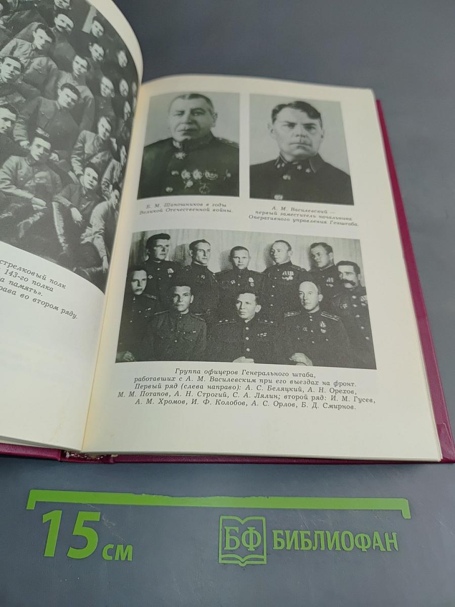 Дело всей жизни. Книга первая