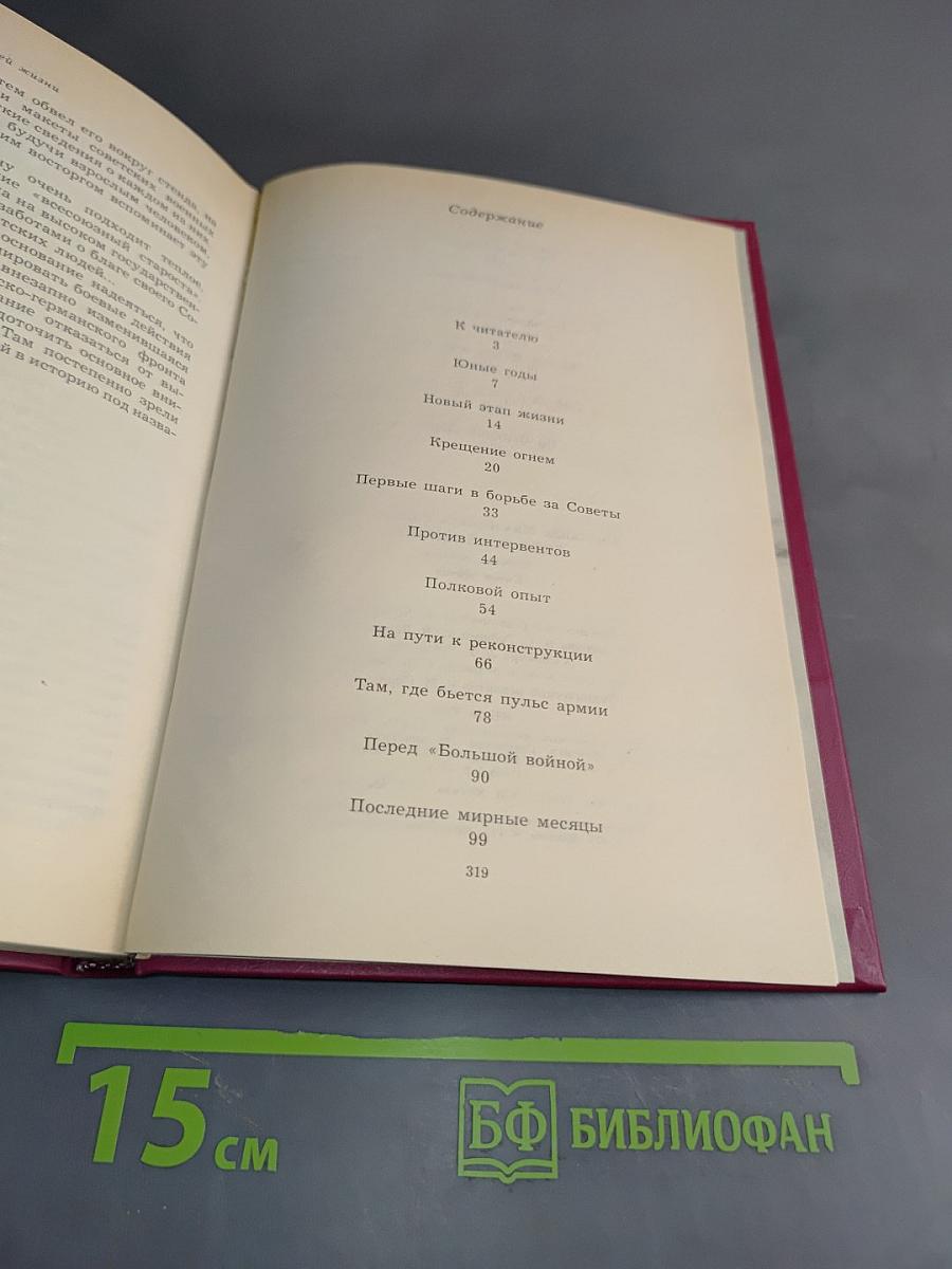 Дело всей жизни. Книга первая