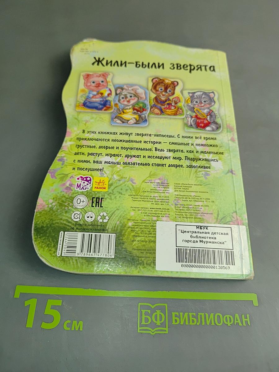 Котик Тишка