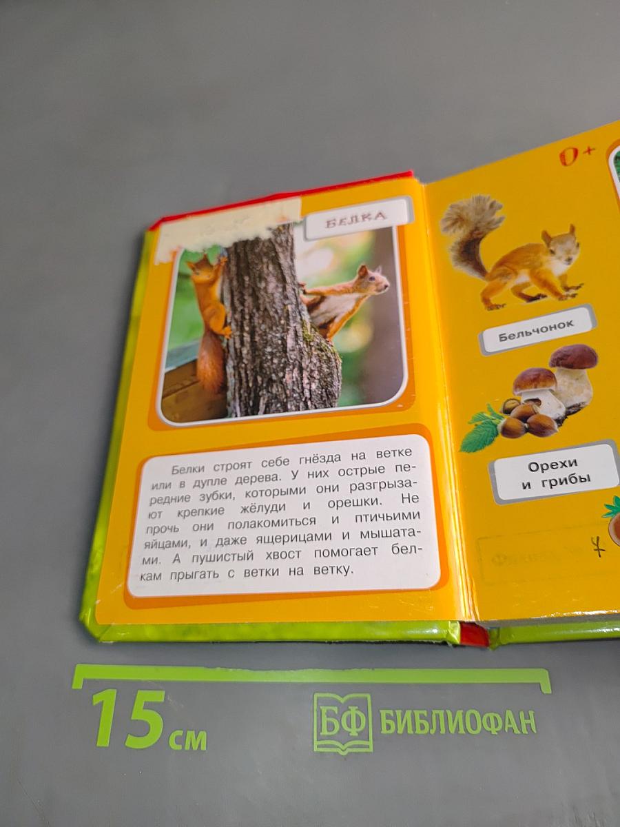 Кто в лесу живёт?