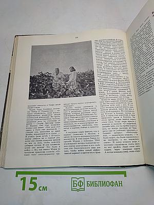 Экран. 1973-1974