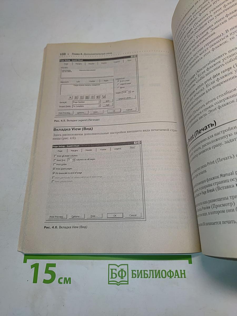 Microsoft Project 2003. Популярный самоучитель