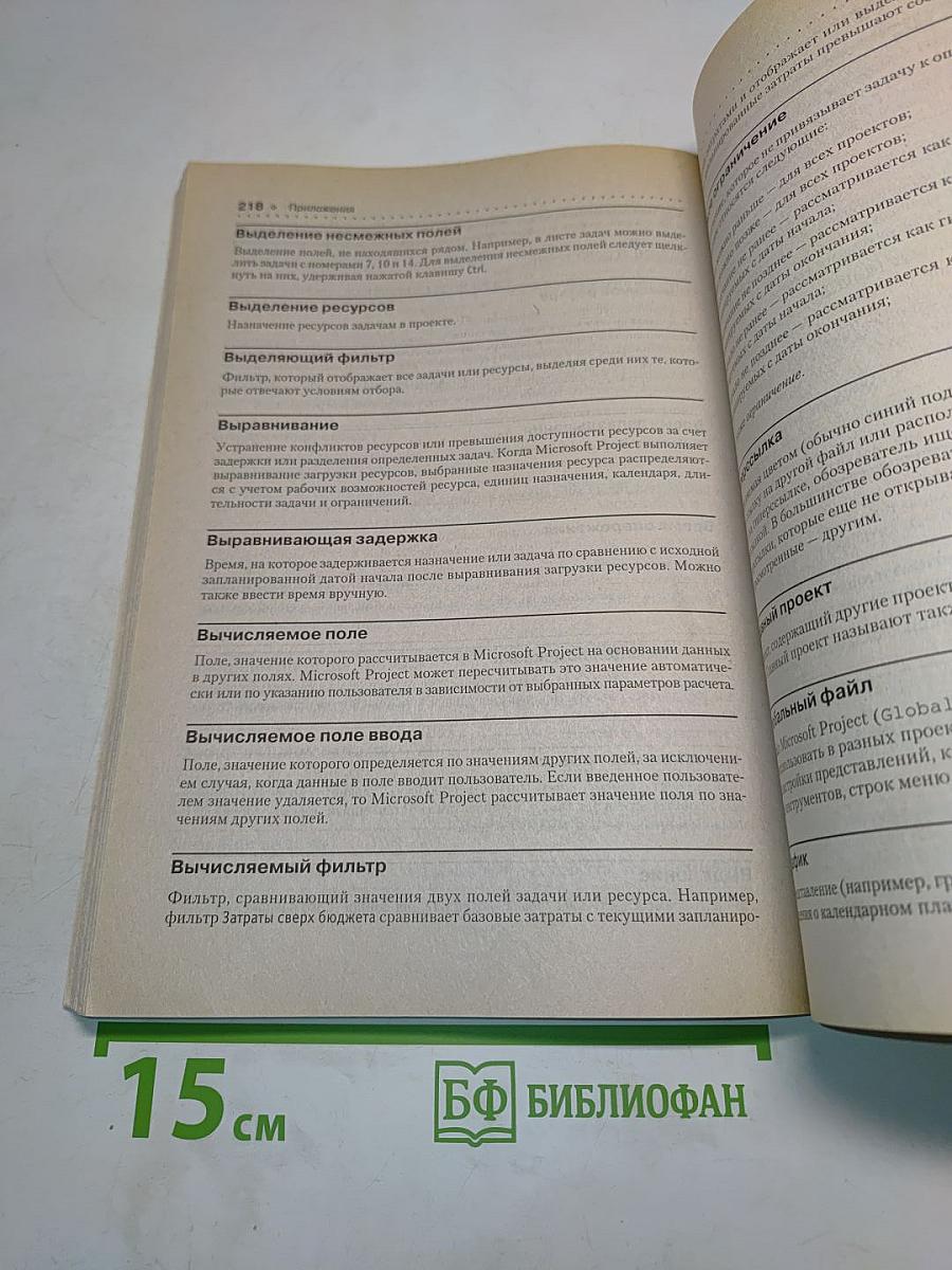 Microsoft Project 2003. Популярный самоучитель