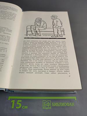 Похождения бравого солдата Швейка во время мировой войны