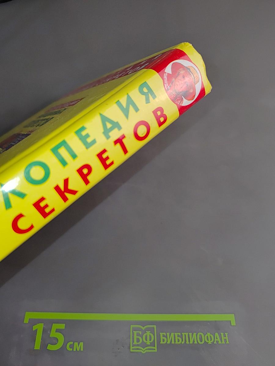 Энциклопедия бабушкиных секретов