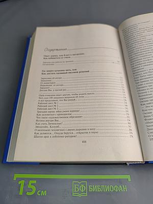 Опыт дурака, или Где зимует миллион решений