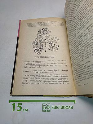 Лекарственные растения
