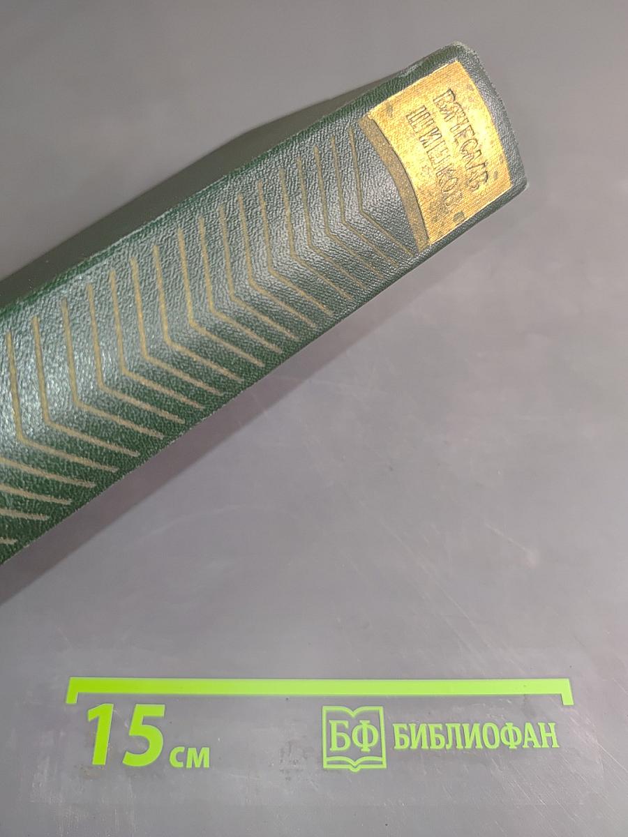 Собрание сочинений. Том второй. Повести, рассказы, очерки (1912-1933)