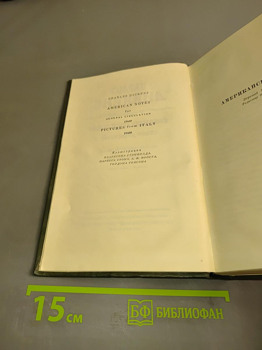 Собрание сочинений. Том девятый. Американские заметки. Картины Италии