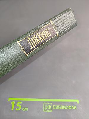 Собрание сочинений. Том девятый. Американские заметки. Картины Италии