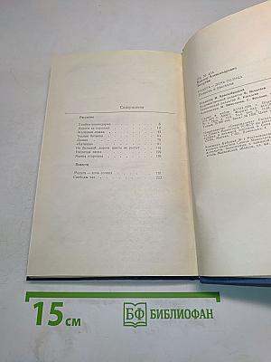 Радуга – дочь солнца