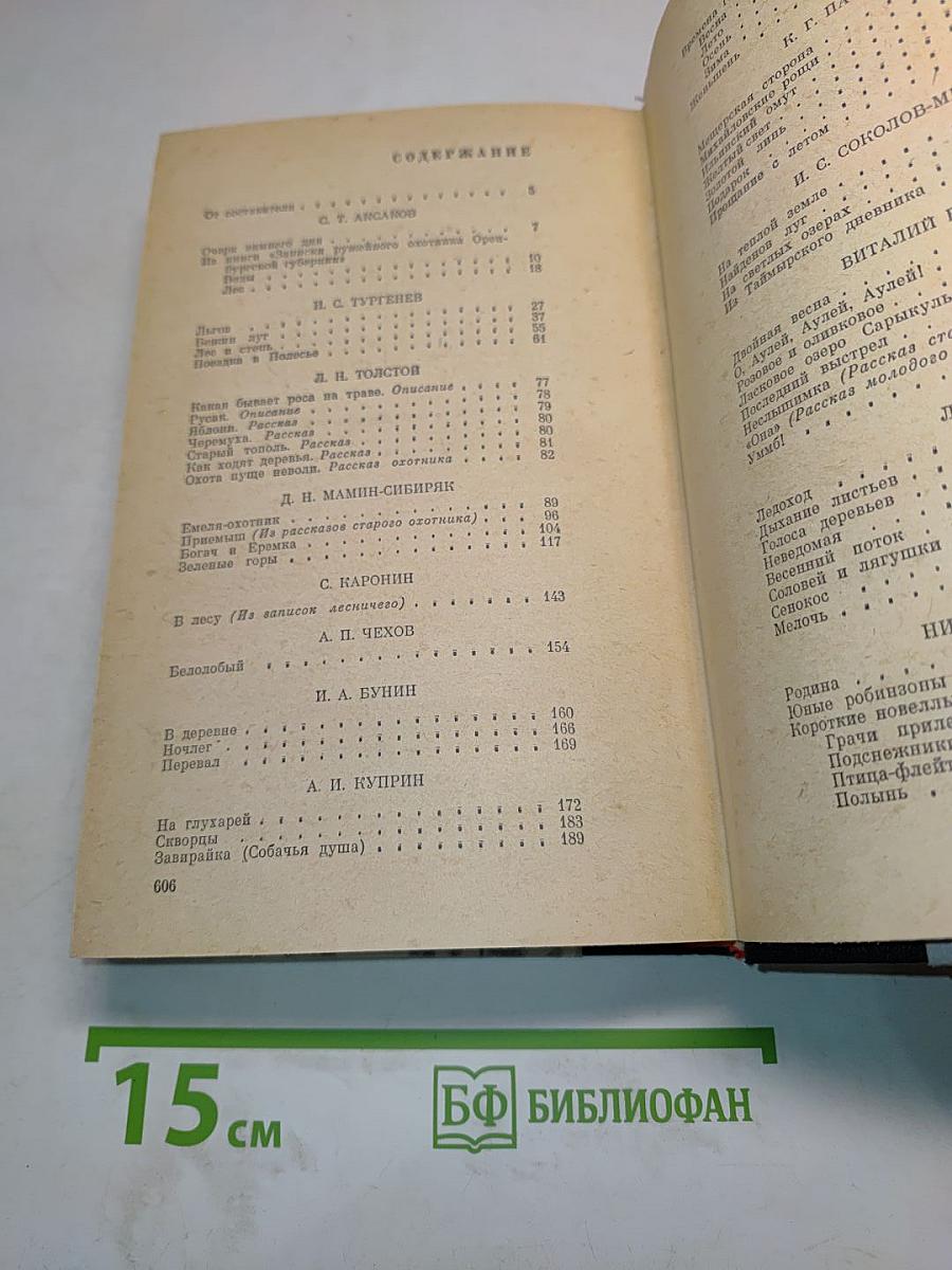 Времена года