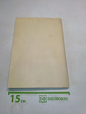 Культовые здания Петербурга. Указатель русской литературы 1717–1917 гг. Выпуск 2