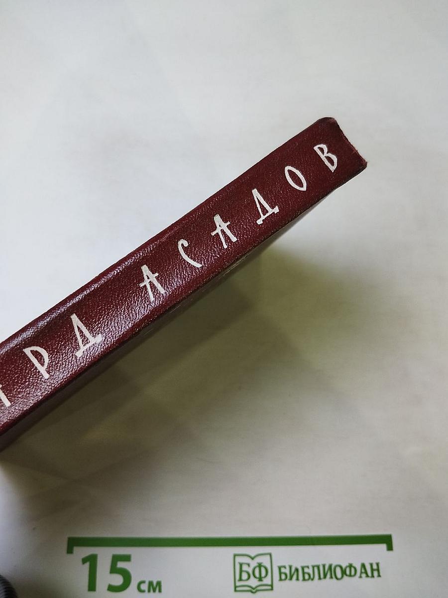 Я люблю навсегда