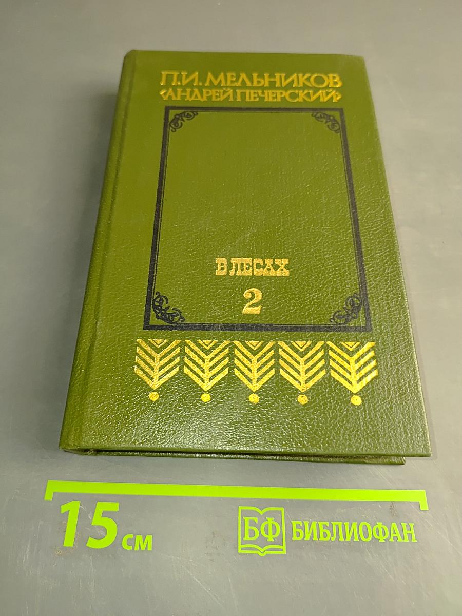 В лесах. Книга вторая
