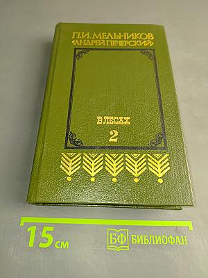 В лесах. Книга вторая