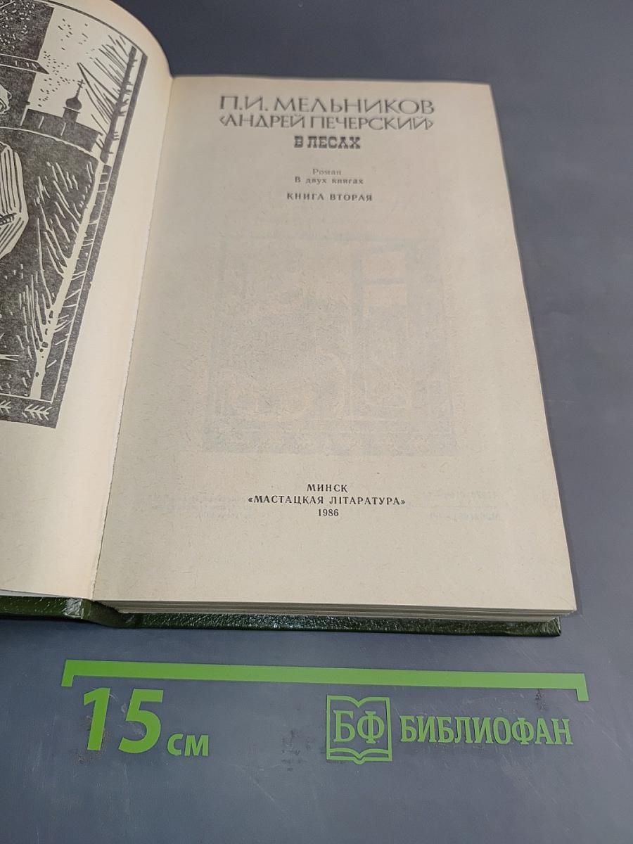В лесах. Книга вторая