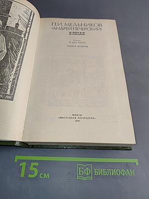 В лесах. Книга вторая
