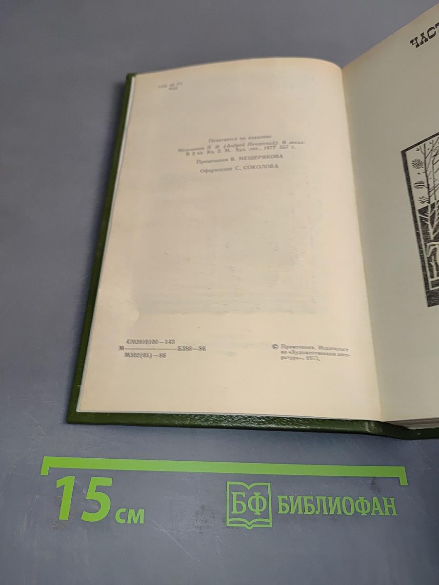 В лесах. Книга вторая