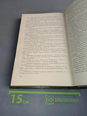 В лесах. Книга вторая