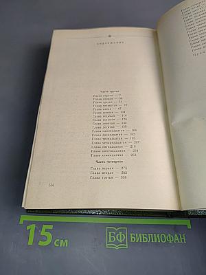 В лесах. Книга вторая