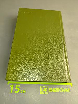 В лесах. Книга вторая